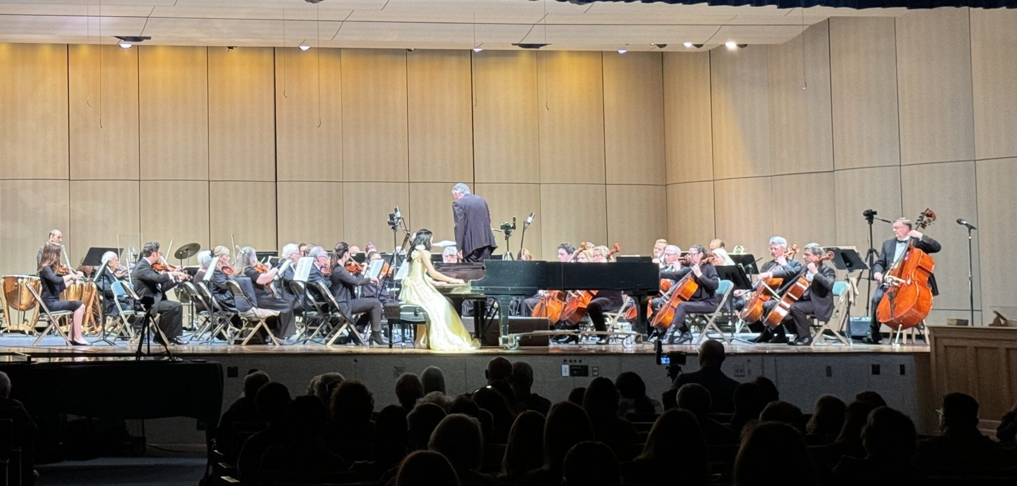 Concerto Performance Do All Musicians Dream of Performing a Piano Concerto With Orchestra ...